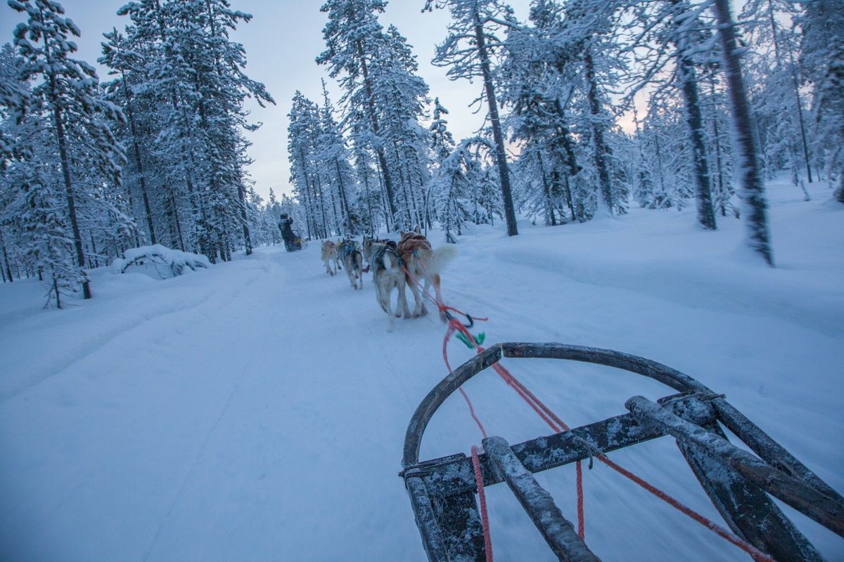 Artisan Travel Husky Safari Credit Antti Pietikainen 2