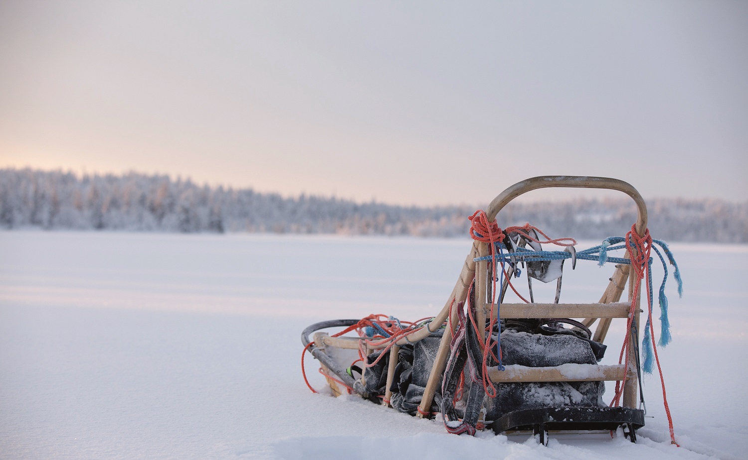 Credit Antti Pietikainen 9 2