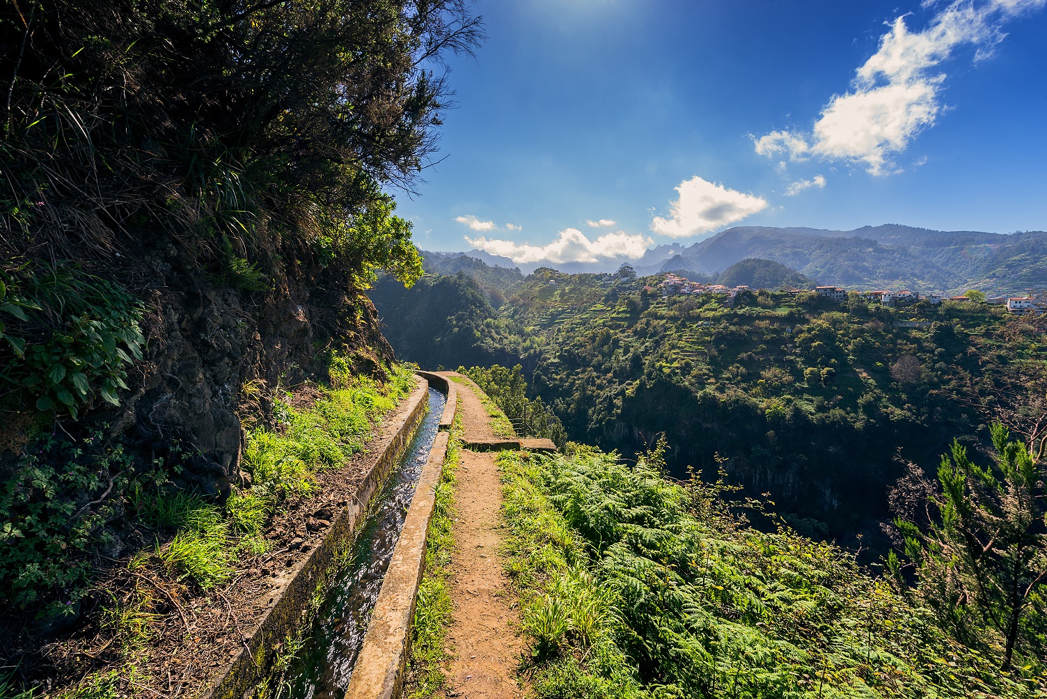 Francisco Correia and Visit Madeira 5