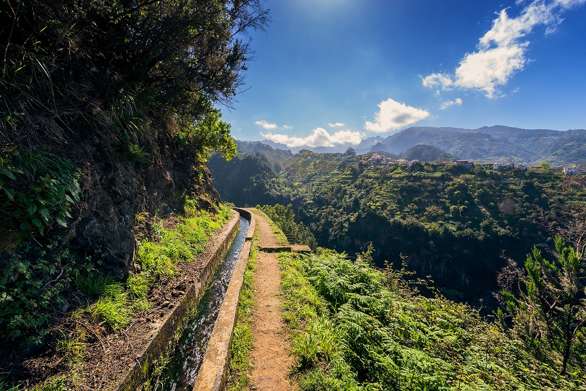 Francisco Correia and Visit Madeira 5 2