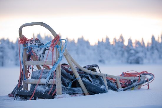 Dog sledding 