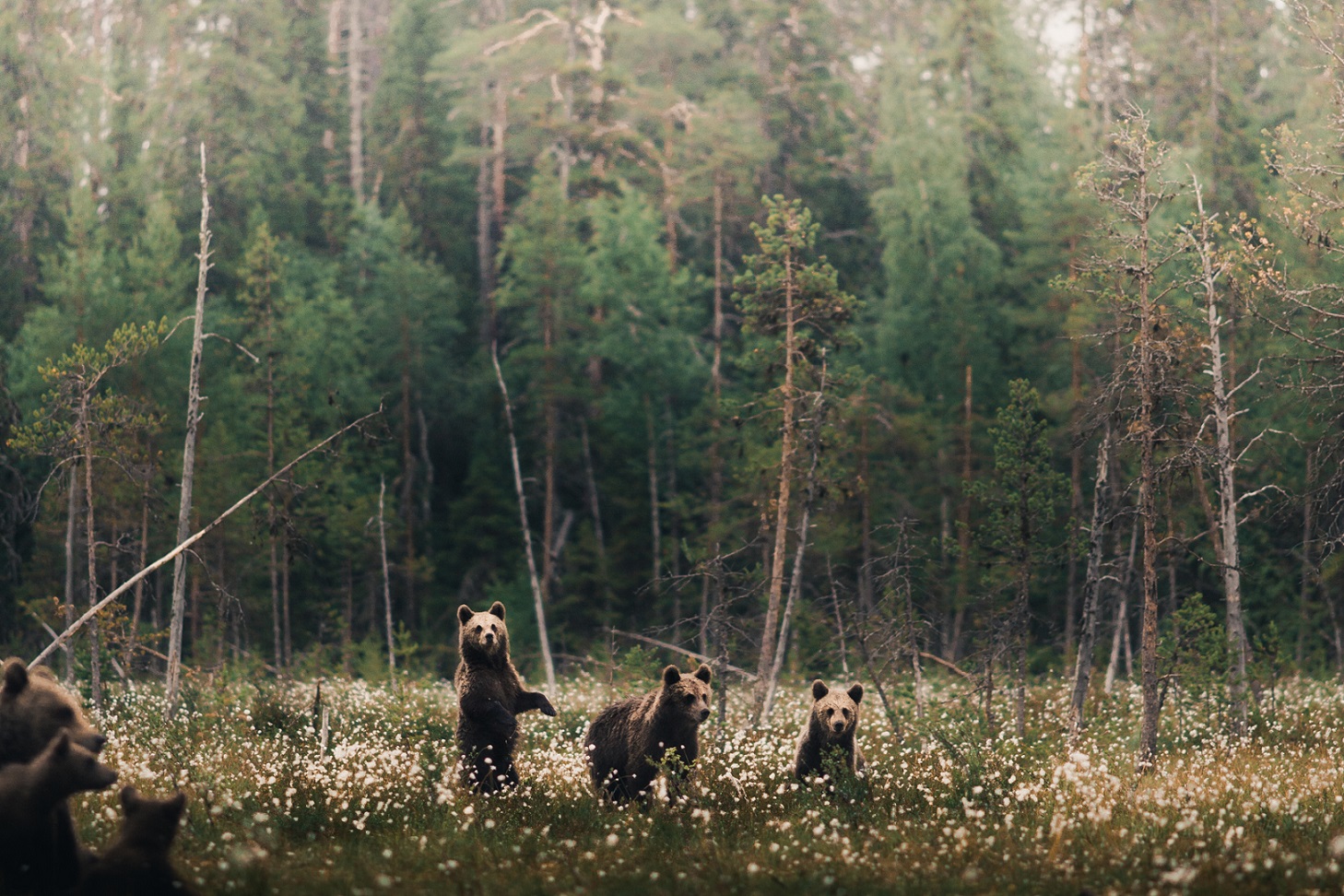 Konsta Punkka and Visit Finland