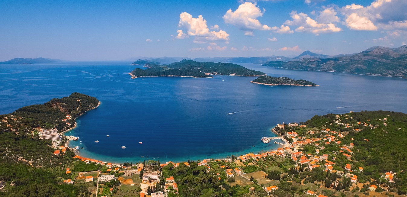 Family Summer Collection Holoidays