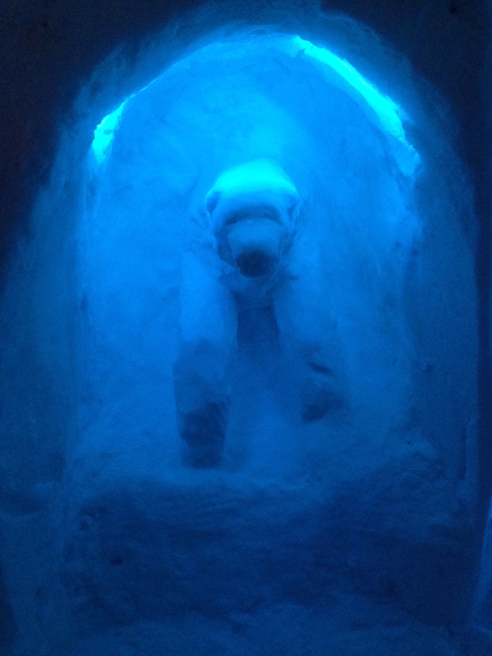 Snow Hotel 