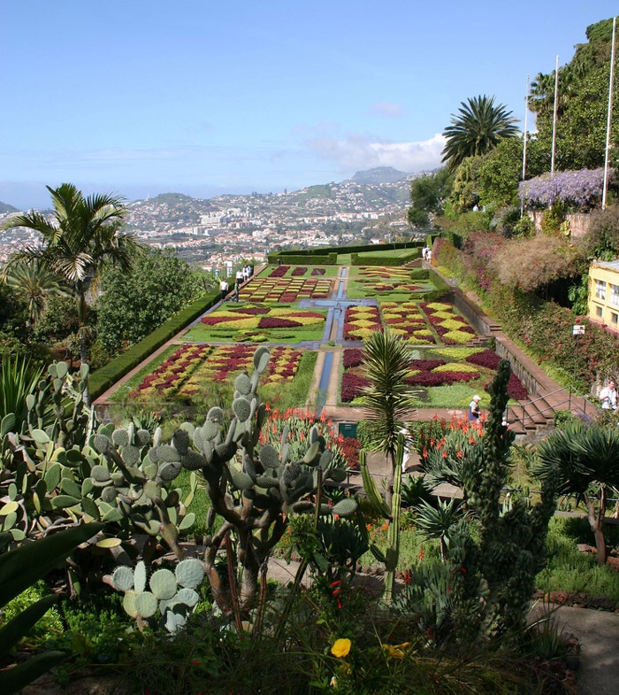 botanical garden Credit Visit Madeira 2