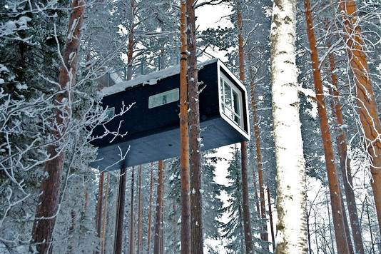 treehotel